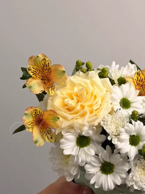 Композиция из ромашковой хризантемы и альстромерии «Джесс»