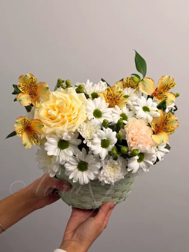 Композиция из ромашковой хризантемы и альстромерии «Джесс»