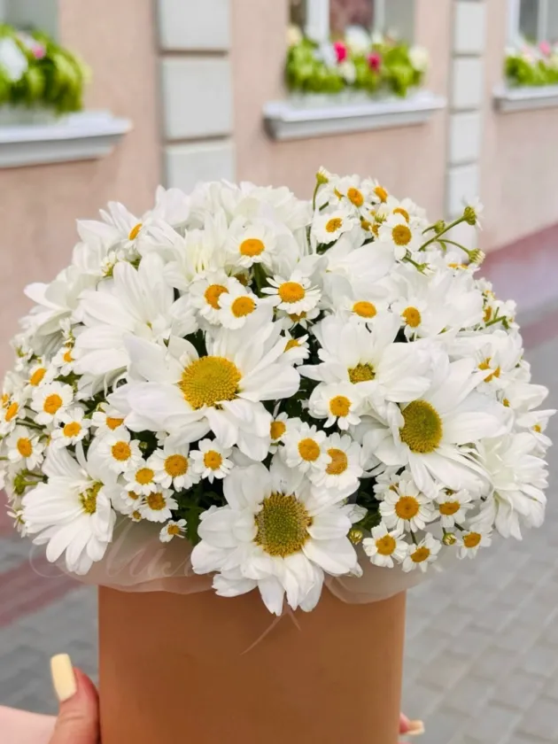 Композиция из ромашек «Летнее утро»