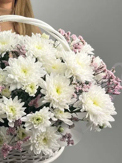 Композиция из хризантем «Мисс нежность»