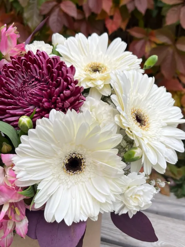 Композиция из гербер «Каприз»