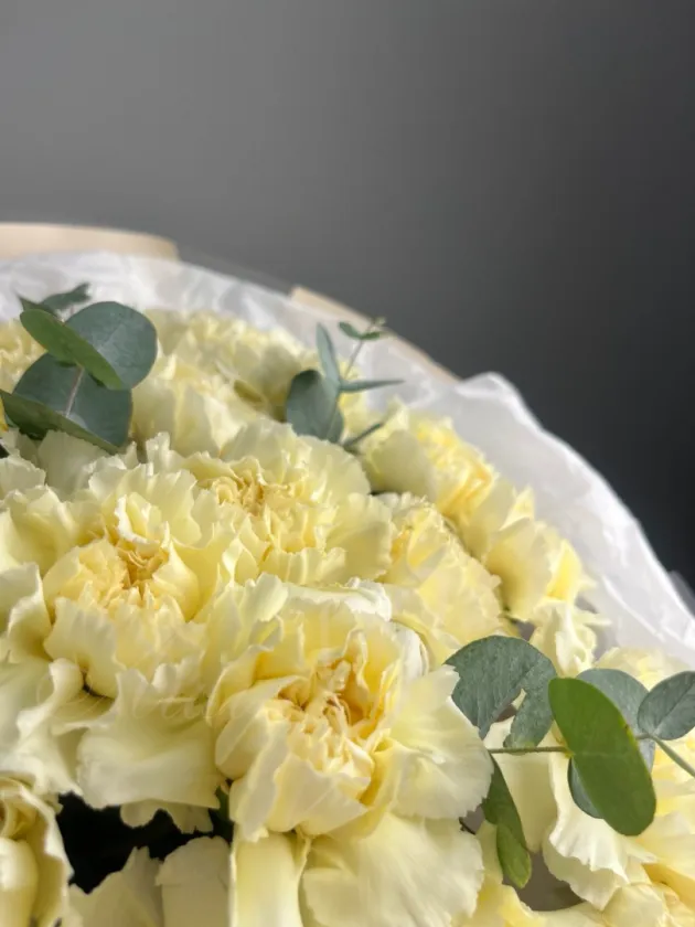 Букет из гвоздик «Диор»