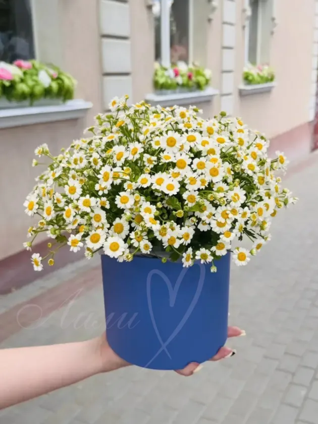 Композиция из ромашек «Солнышко»
