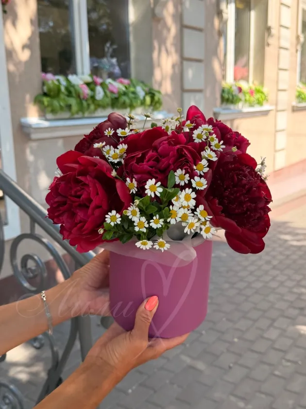 Композиция из пионов и ромашки «Реверанс»