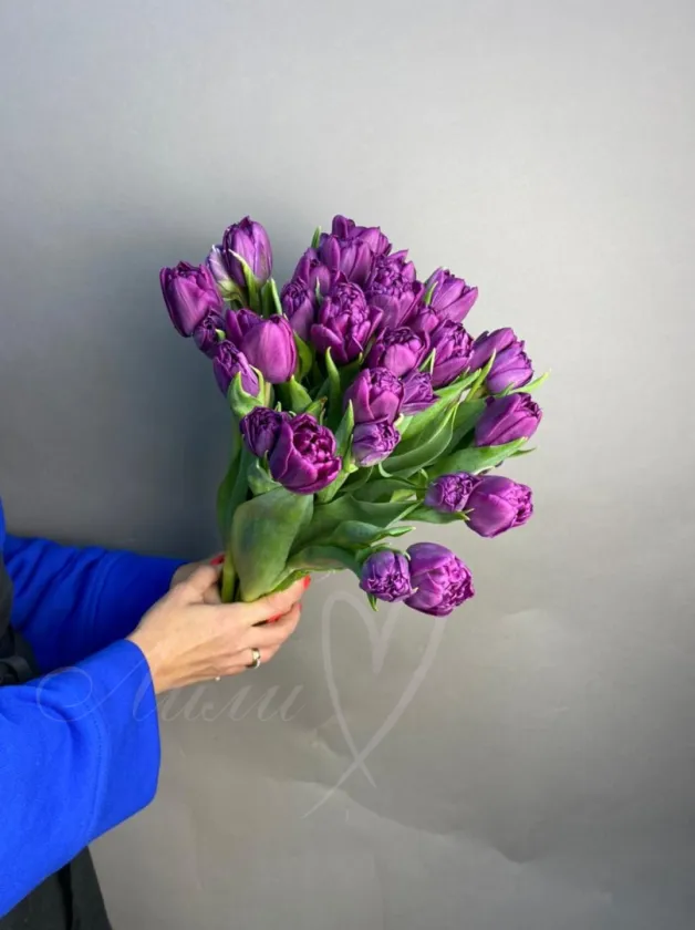 Тюльпан фиолетовый пионовидный