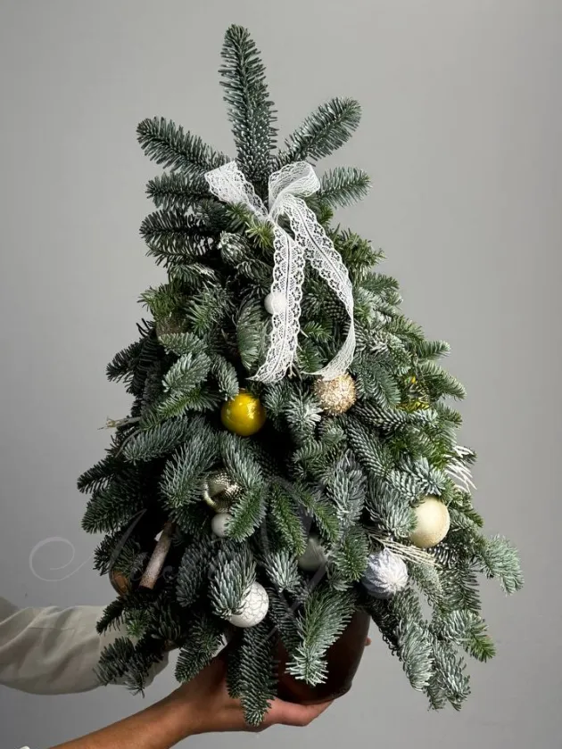 Елка натуральная «Сказка леса»