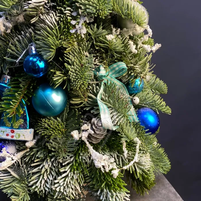 Елочка натуральная «Красавица» 50 см