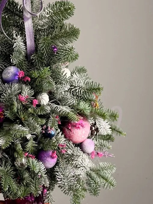 Елочка натуральная «Милашка» 40 см