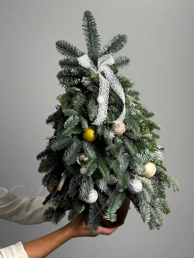 Елочка натуральная «Зимний день»