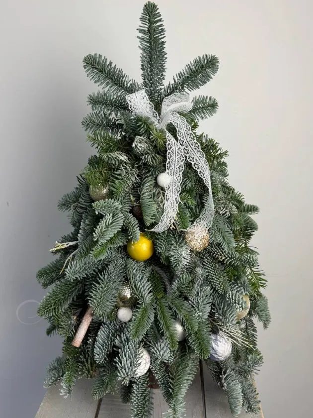 Елочка натуральная «Зимний день»
