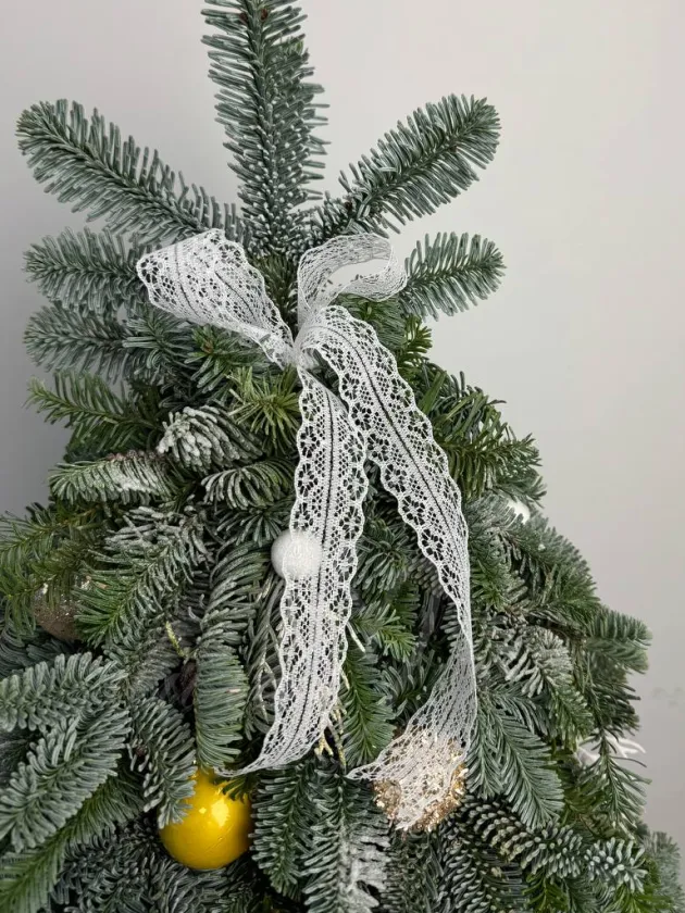 Елочка натуральная «Зимний день»