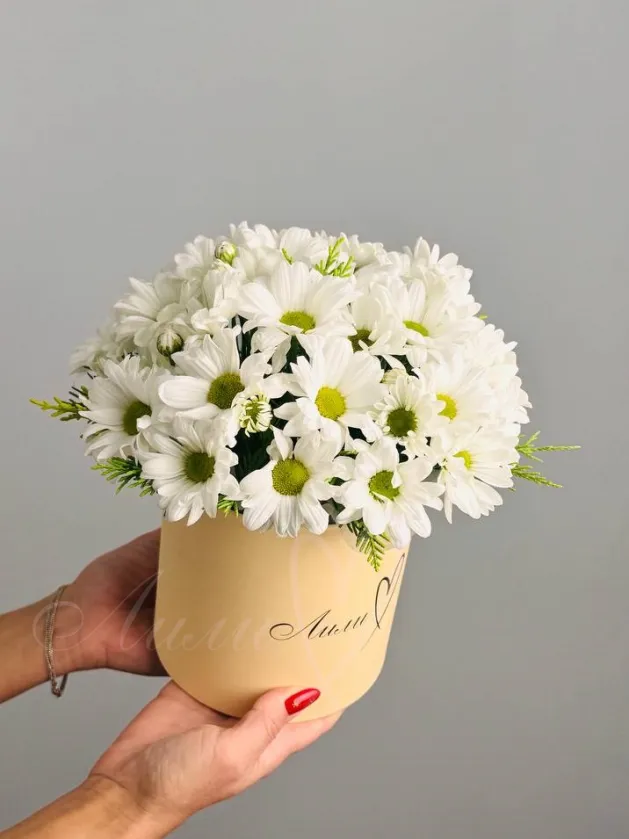 Композиция «Лора»