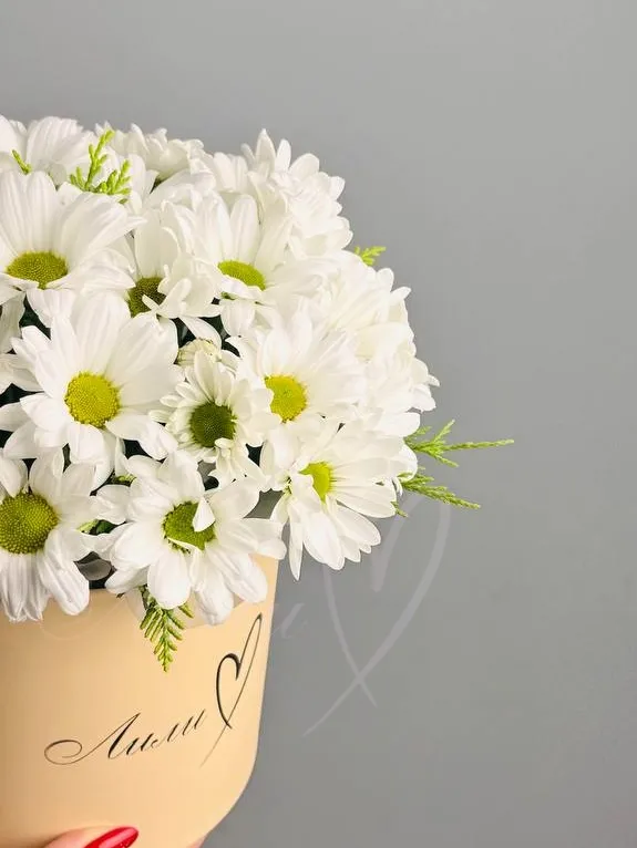 Композиция «Лора»