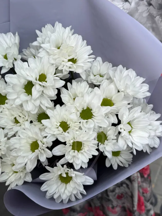 Букет с хризантемой «Невинная улыбка»