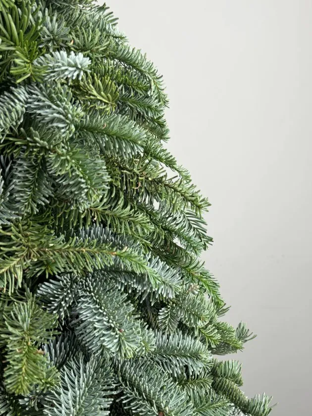 Ёлочка декоративная «Сказочная»