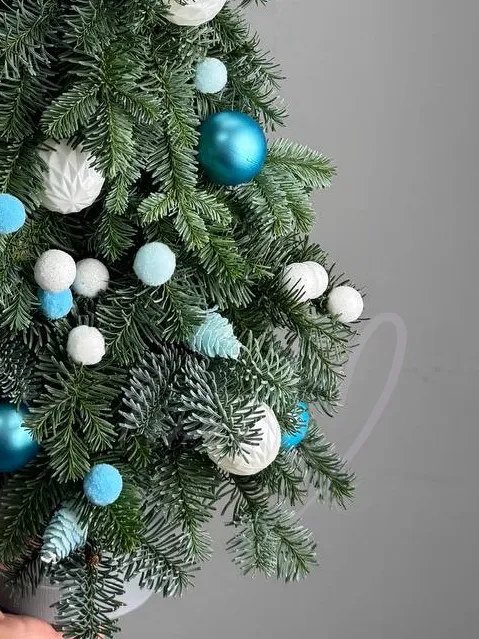 Ёлочка натуральная «Снежная»