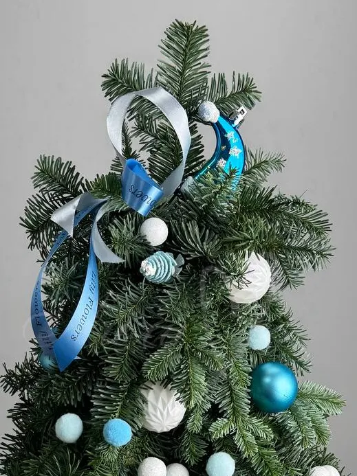 Ёлочка натуральная «Снежная»