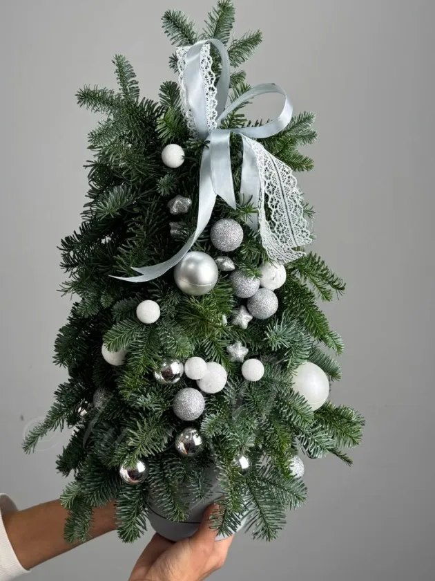 Ёлочка натуральная «Джульетта»