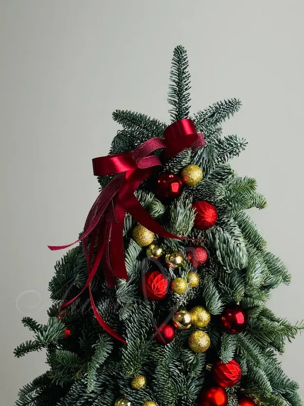 Елочка «Рубиновый сон»