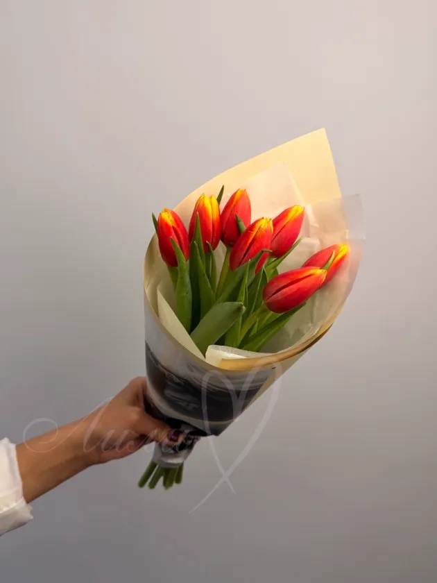 Букет из тюльпанов «Жар-птица»