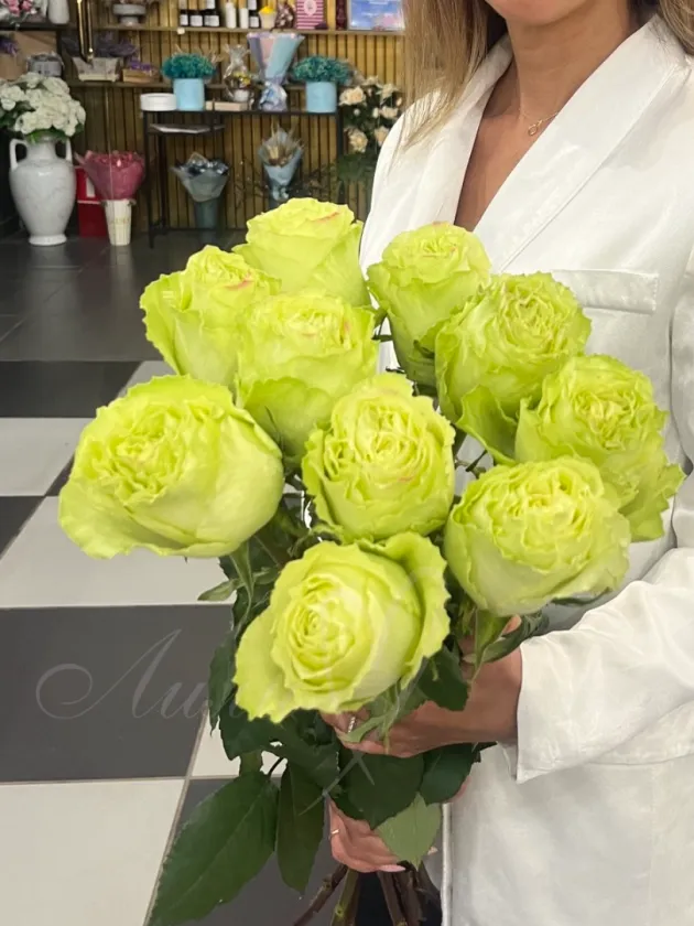 Роза Эквадор «Грин»