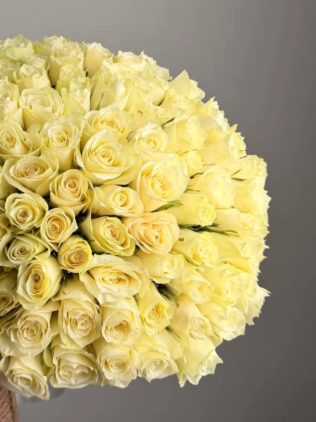 Букет из 101 белой  розы