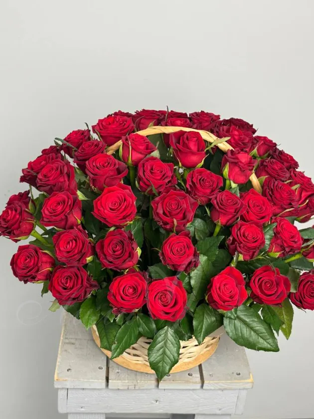 Корзина из 55 роз