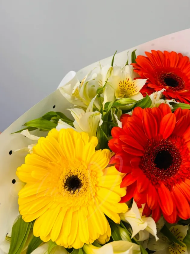 Букет из герберы и альстромерии «Лучи солнца»