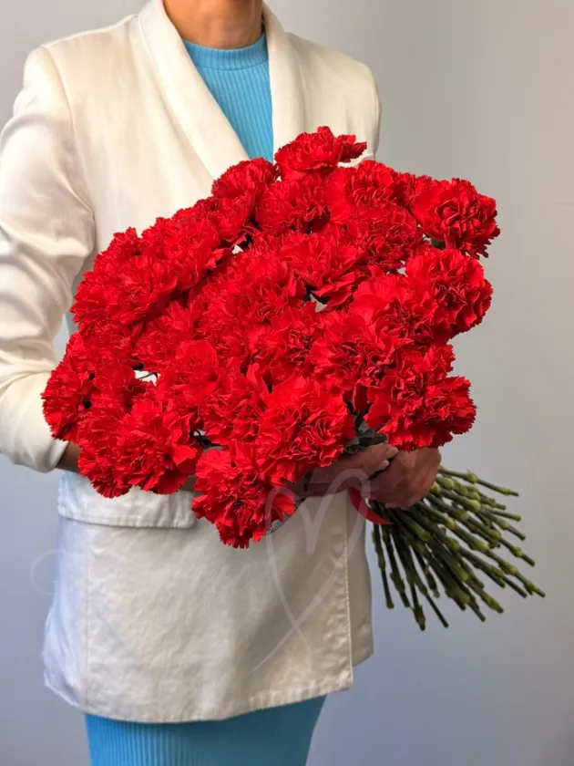 Гвоздика красная