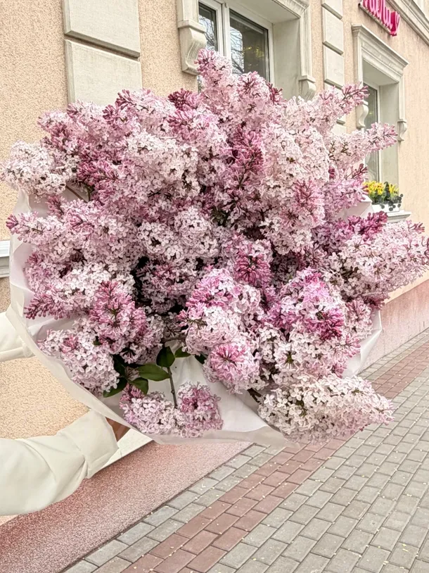 Букет сирени