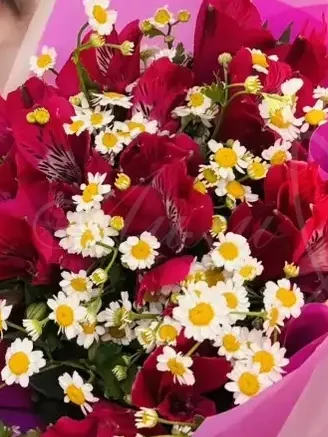 Букет из альстромерии и ромашки «Вайлет»