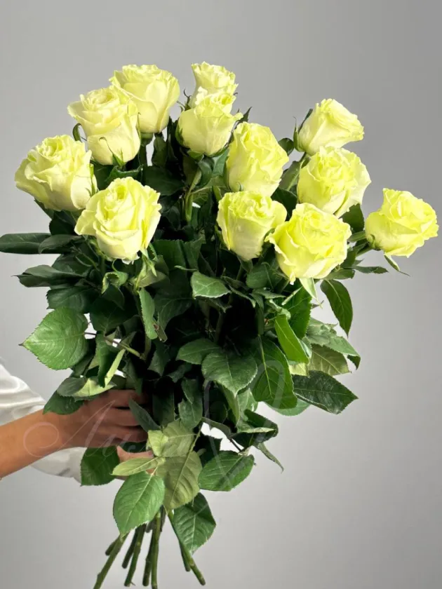 Букет из  роз «Белая роза»