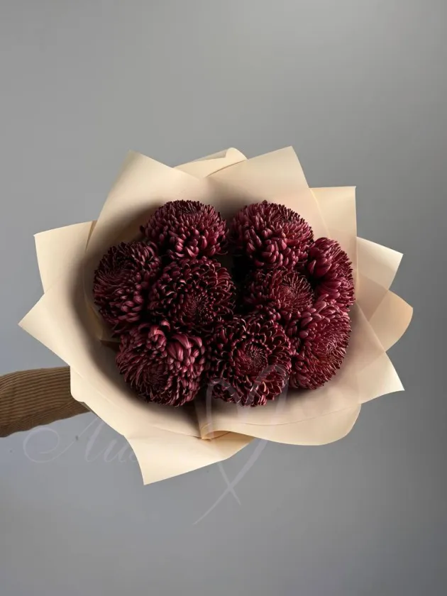 Букет из хризантем «Шоколадный латте»