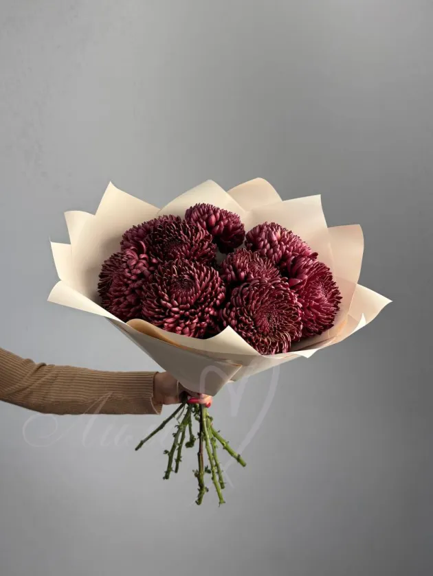 Букет из хризантем «Шоколадный латте»