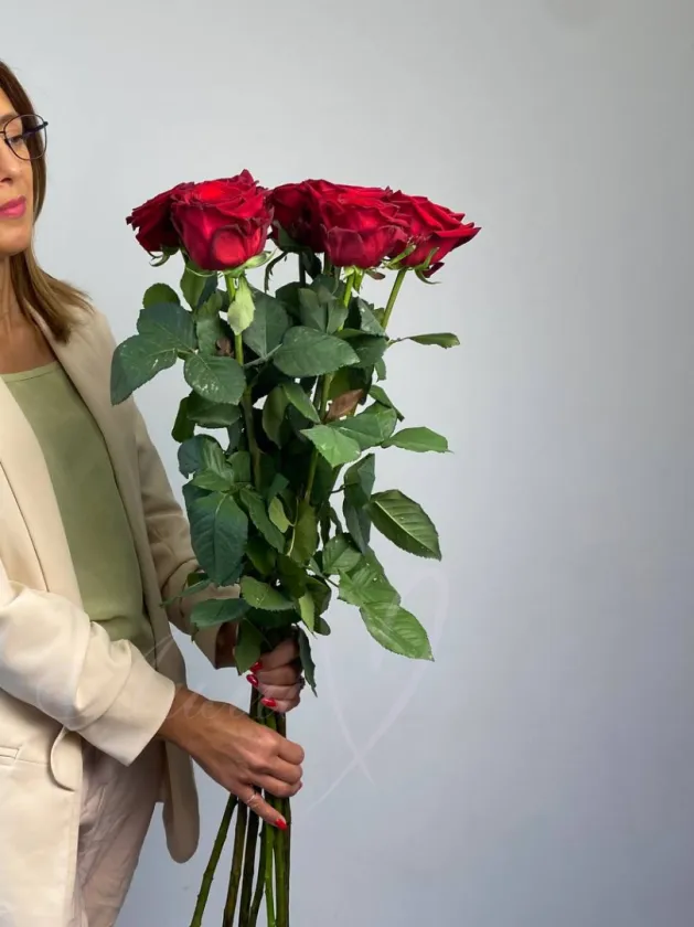 Красные розы 