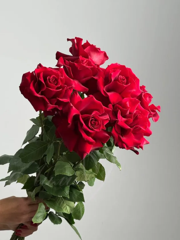 Букет из роз «Марта»