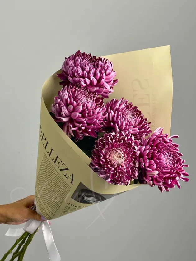 Букет хризантем «Впечатление»