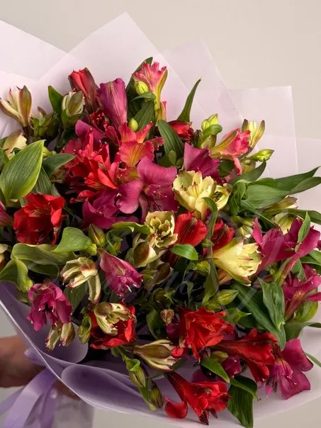 Букет из альстромерии «Рандеву»