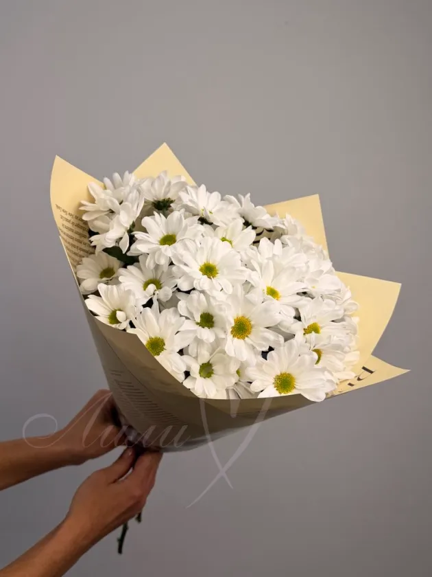 Букет из хризантемы «Белоснежный»