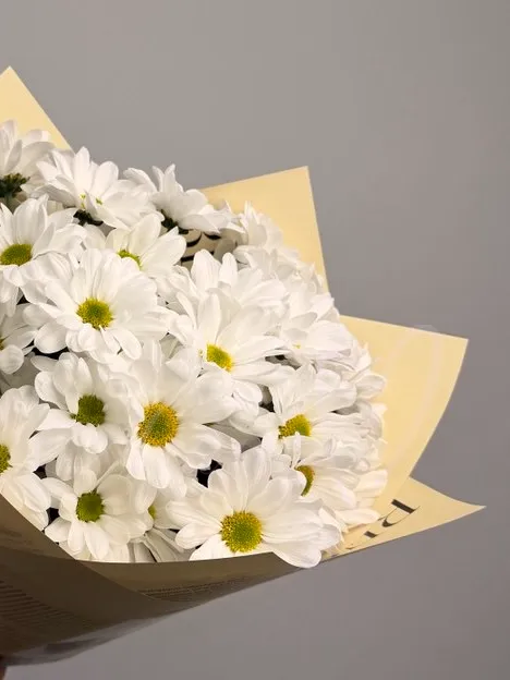 Букет из хризантемы «Белоснежный»