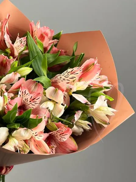Букет из альстромерии «Воздушный комплимент»