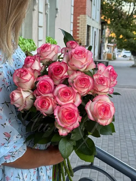 Роза «Джамилия» 60 cм