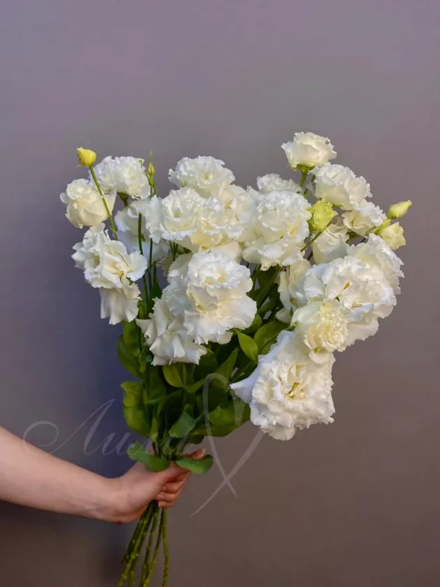 Эустома «Белая»