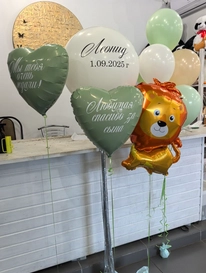 Набор воздушных шаров от интернет-магазина «» в 