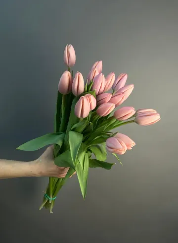 Тюльпан тай Бутс от интернет-магазина цветов в 