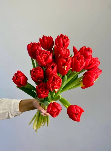 Тюльпан красный-пион от интернет-магазина цветов в 