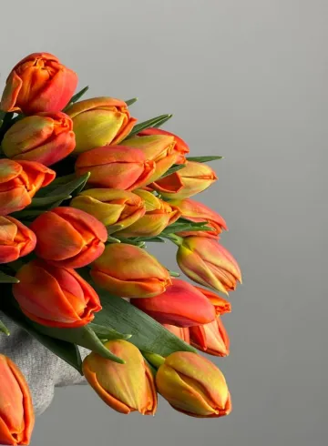 Тюльпан оранж от интернет-магазина цветов в 