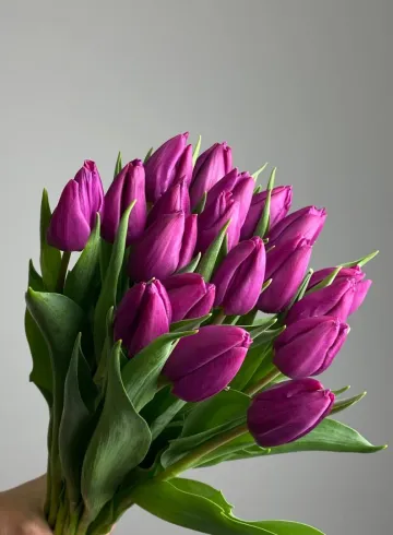 Тюльпан  фиолетовый от интернет-магазина цветов в 