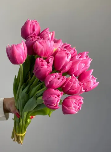 Тюльпан пионовидный розовый "Фаворит прайс" от интернет-магазина цветов в 