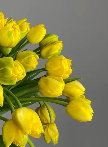 Тюльпан желтый- пион от интернет-магазина цветов в 